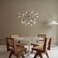 Heracleum Chandelier