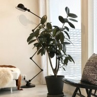 Loft D9406 Floor Lamp