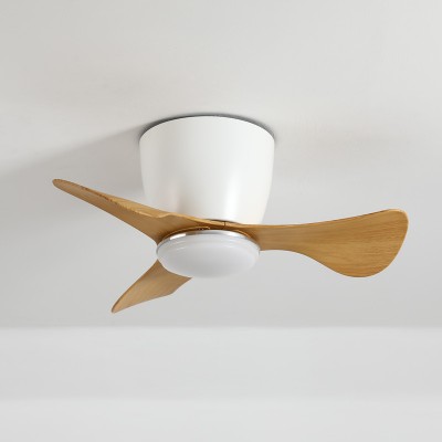 Ceiling Fan with Lights