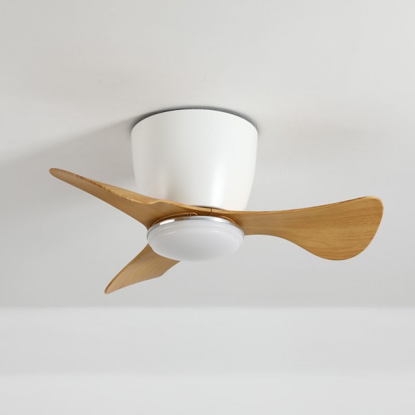 Ceiling Fan with Lights