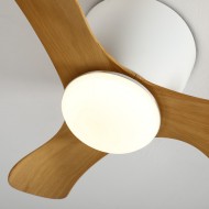 Ceiling Fan with Lights
