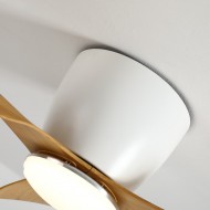 Ceiling Fan with Lights