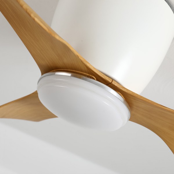 Ceiling Fan with Lights