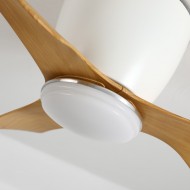 Ceiling Fan with Lights