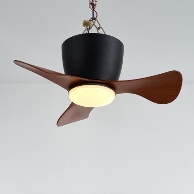 Ceiling Fan with Lights