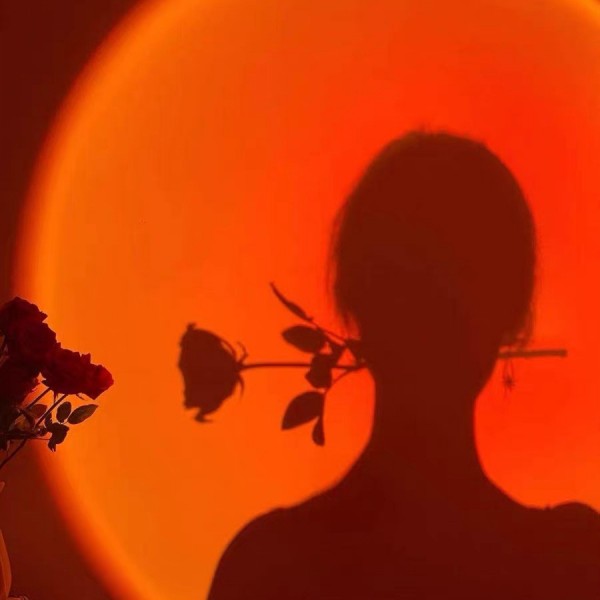 Таблица СИД захода солнца освещает вращение 180° соответствующее для партии живущей комнаты