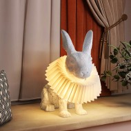 Rabbit X Lamp