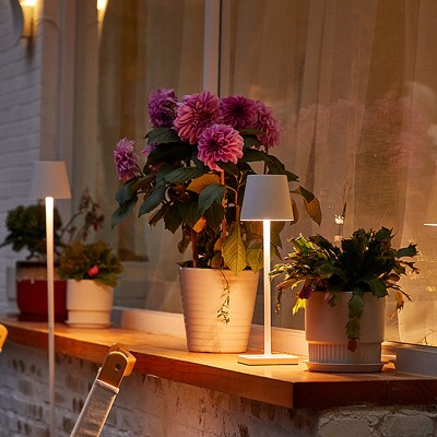 Poldina LED Table Lamp