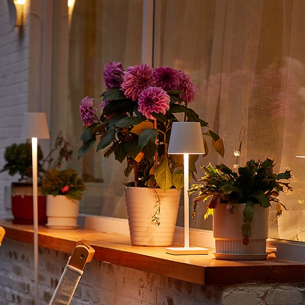 Poldina LED Table Lamp