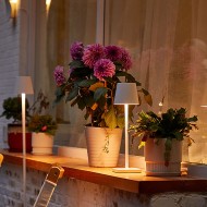 Poldina LED Table Lamp