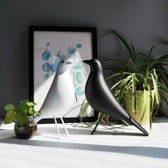 Домашняя птица Имса