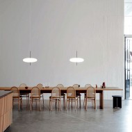 Model 2065 Pendant Light