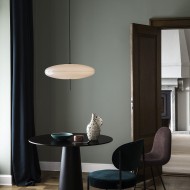 Model 2065 Pendant Light