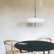 Model 2065 Pendant Light