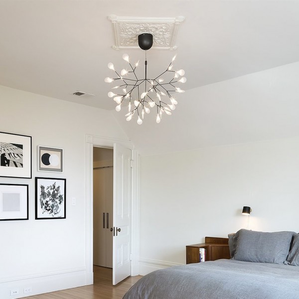 Heracleum Chandelier