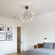 Heracleum Chandelier