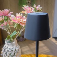 Poldina LED Table Lamp