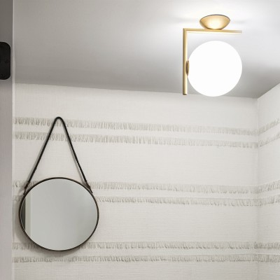 IC Lights Wall/Ceiling Light