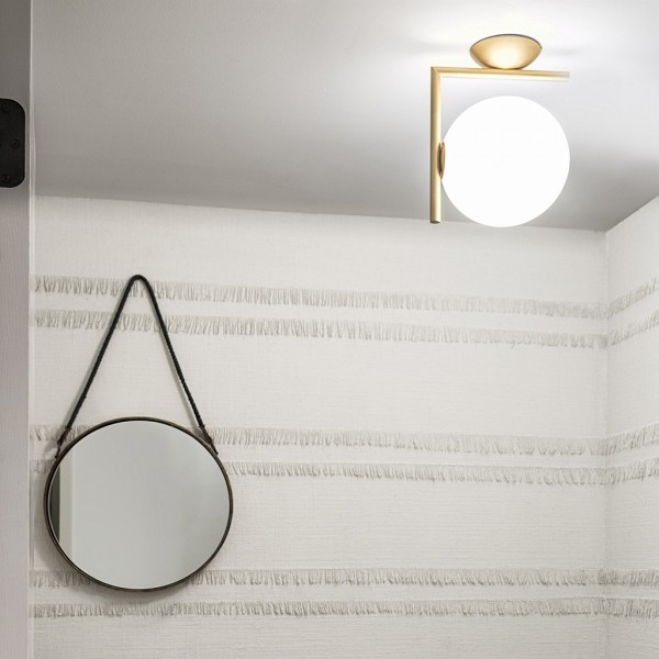 IC Lights Wall/Ceiling Light