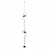 Parentesi Lamp-2 Lamps