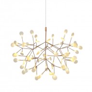 Heracleum Chandelier