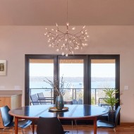Heracleum Chandelier
