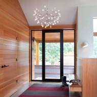 Heracleum Chandelier