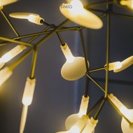 Heracleum Chandelier