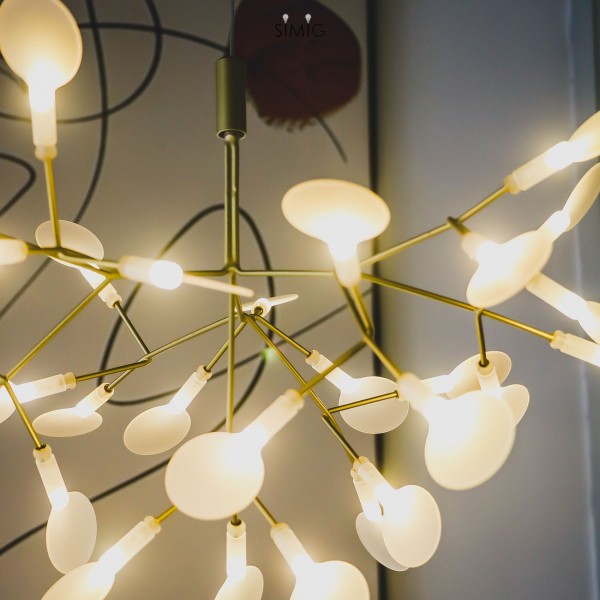 Heracleum Chandelier