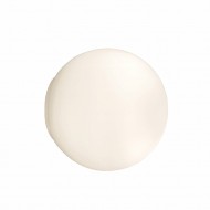 Dioscuri Wall Light / Ceiling Lamp