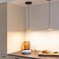 Minimal Style Asteria Pendant Light