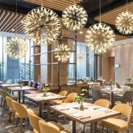 Firework Ball Pendant Light