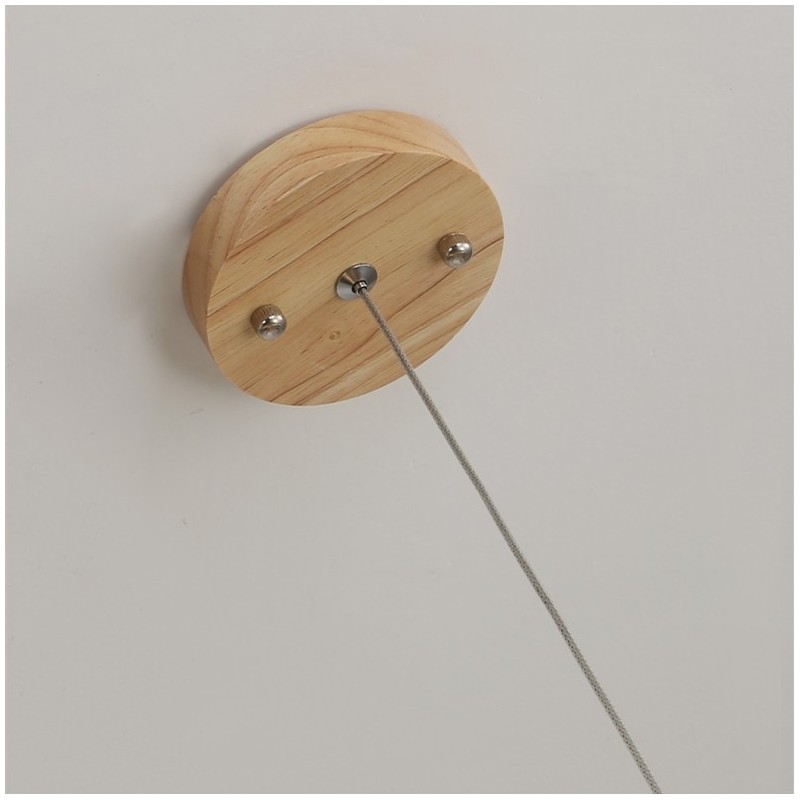 Dot Line Pendant Lamp