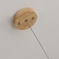 Dot Line Pendant Lamp