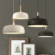 ZONIUS Pendant Light