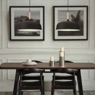 ЗОНИУС Подвесной Светильник