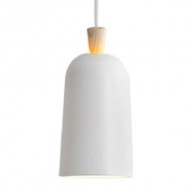 CARROT Scandinavian Pendant Light