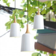 STAFFORD Elongated Hanging Light