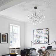 Heracleum Chandelier