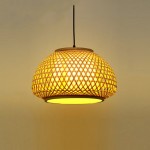 Gardening Wabi-sabi Retro Pendant Light